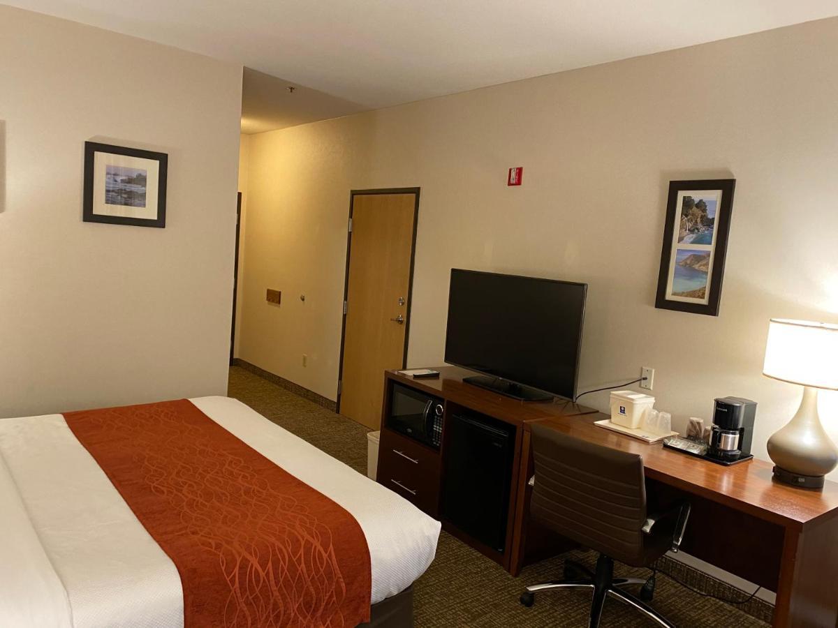 Comfort On The Monterey Bay