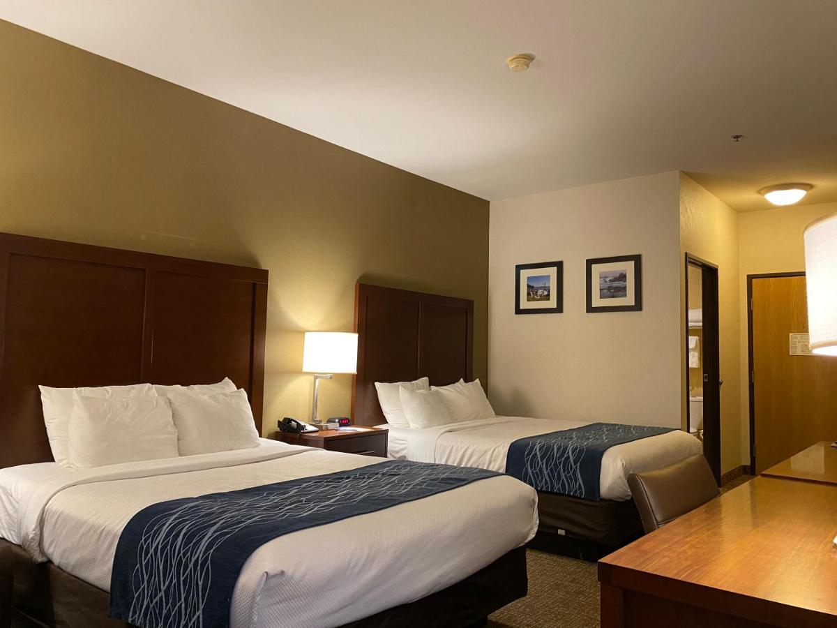 Comfort On The Monterey Bay