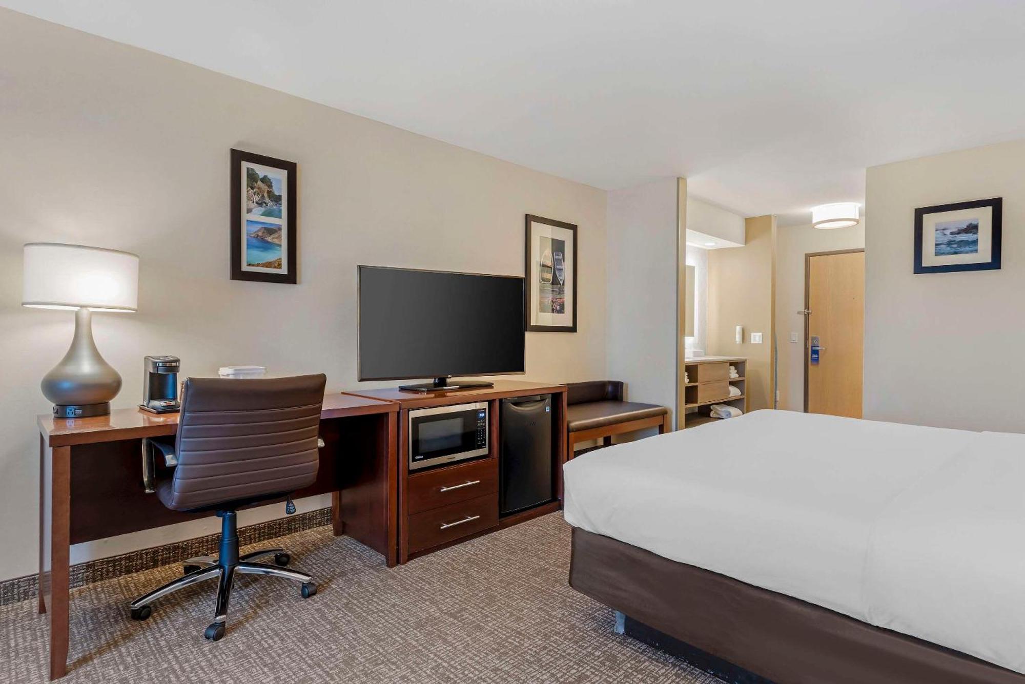 Comfort On The Monterey Bay