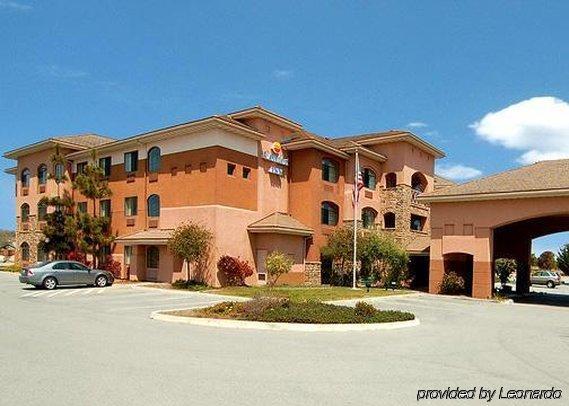Comfort On The Monterey Bay Hotel